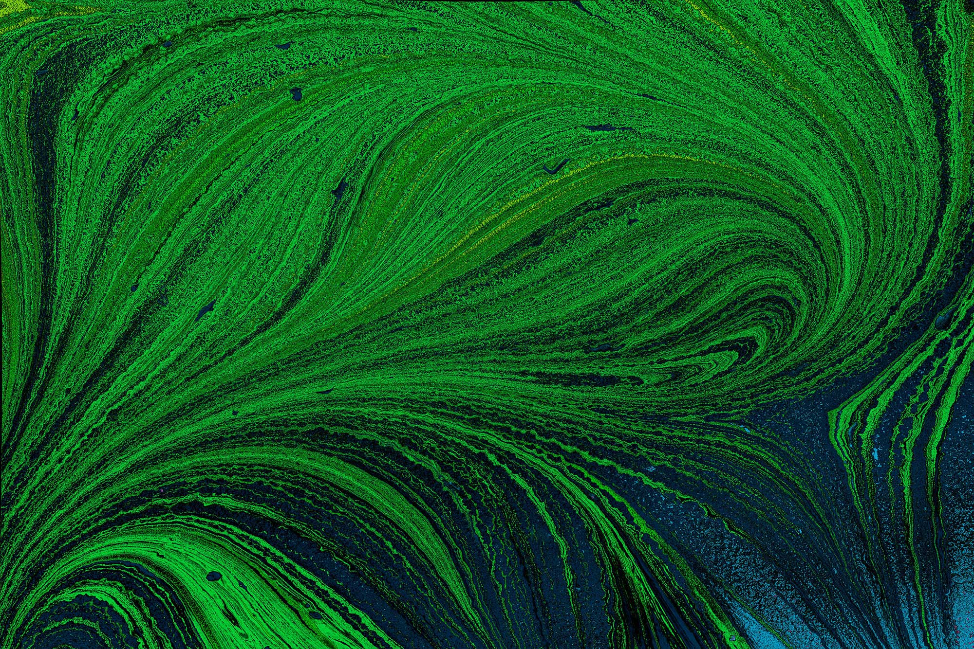 Green abstract design